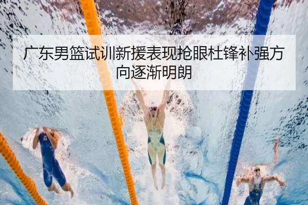 广东男篮试训新援表现抢眼杜锋补强方向逐渐明朗（JXTY）